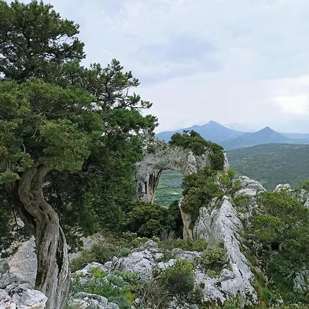 Domo De Arianna Appartamento Galtellì